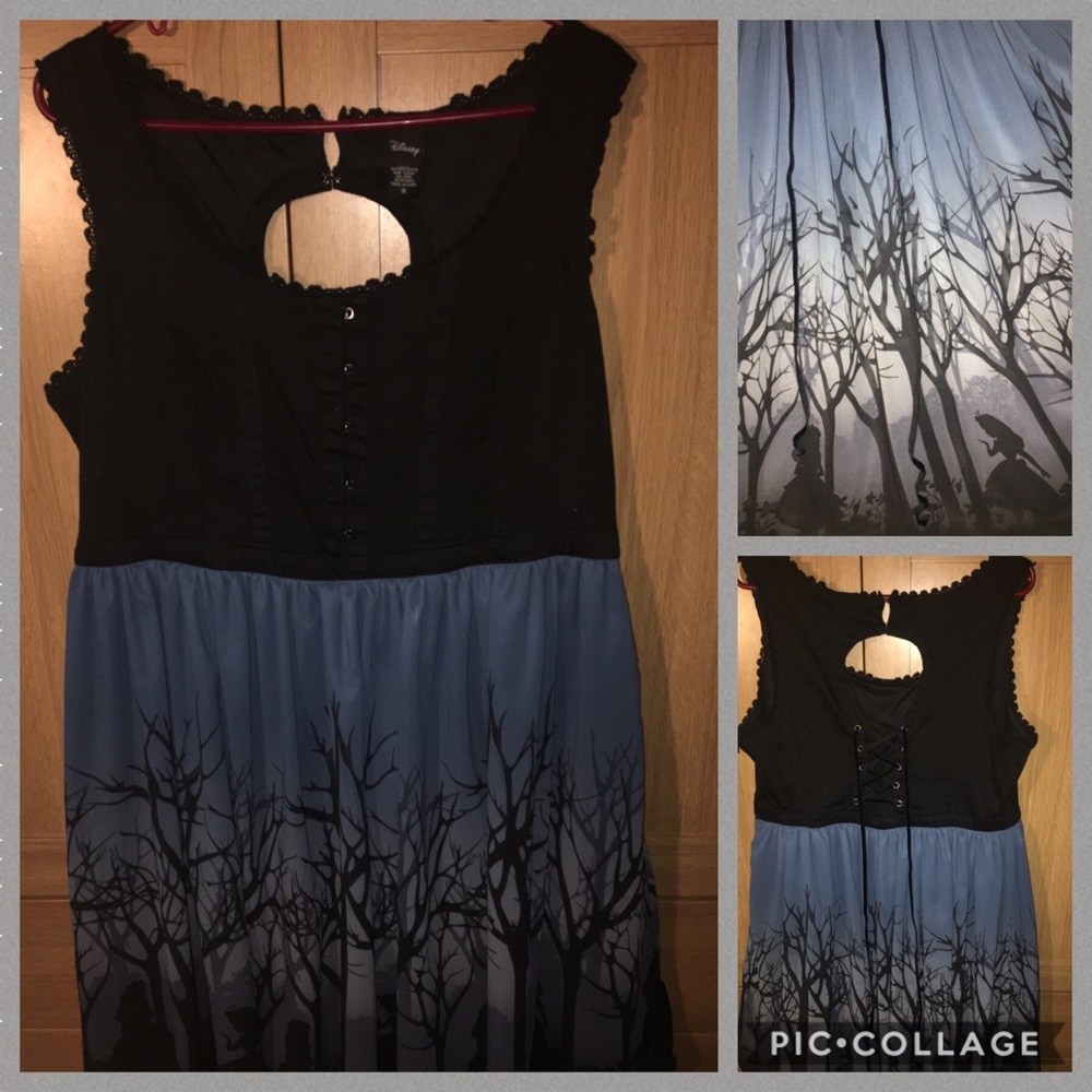 🎉🎉⭐️GUC⭐️💙Disney💙Alice in WL Layered Dress